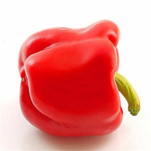 Load image into Gallery viewer, Bell Pepper Seeds