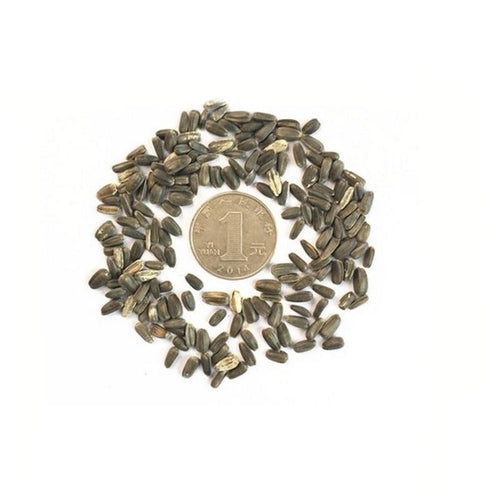 Beautiful Flower Seeds