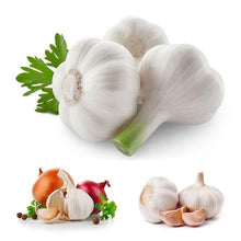 Load image into Gallery viewer, Giant Garlic Seeds